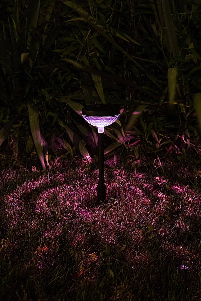 Monor — slika 5