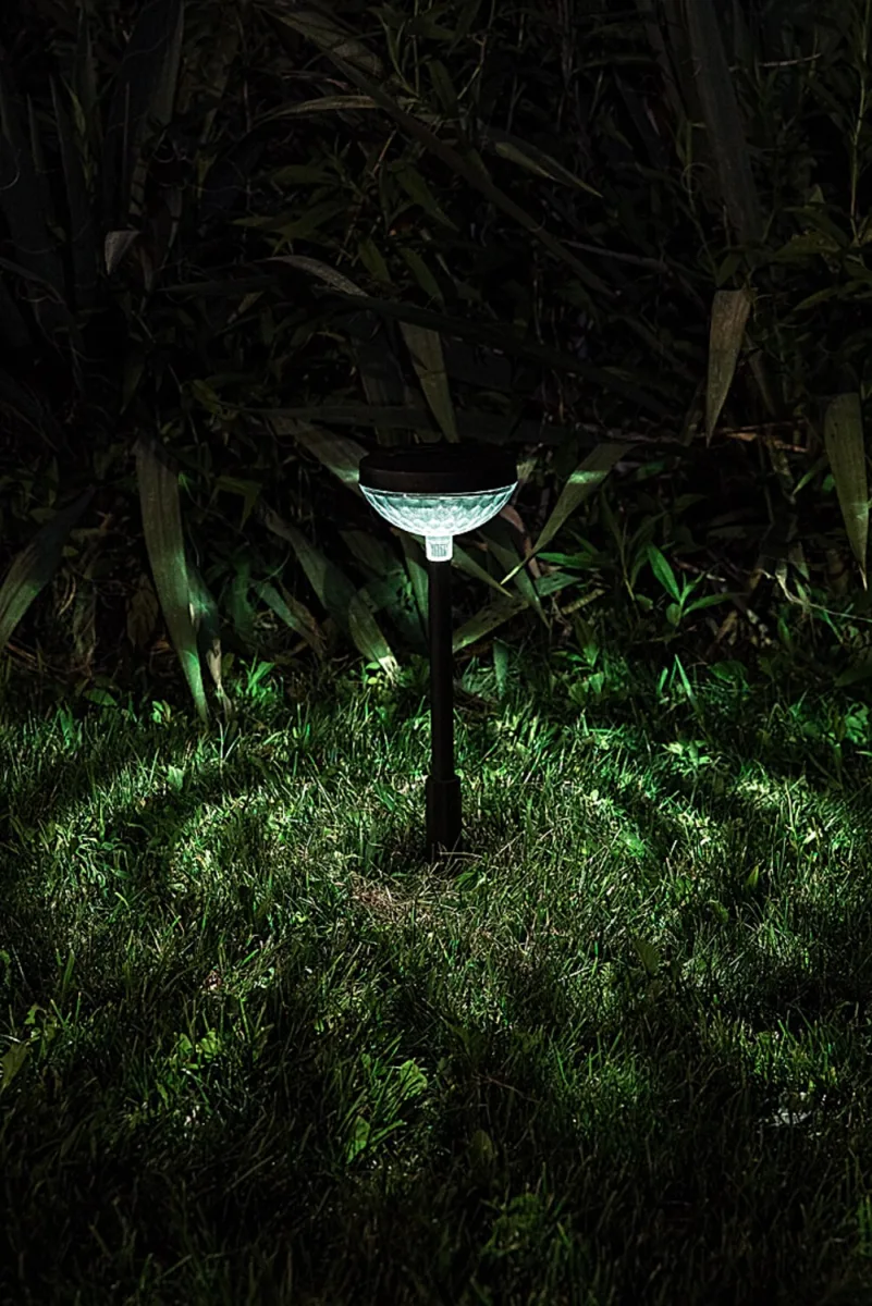 Monor — slika 6