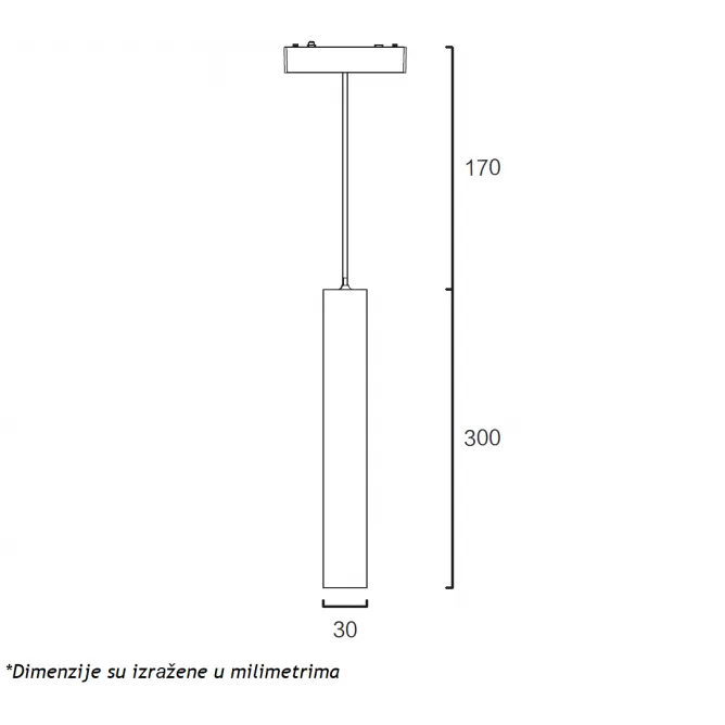 MAGNETIC SLIM VISILICA LED26 - D300 6W 3000K 24° 48V DC BELA — slika 2