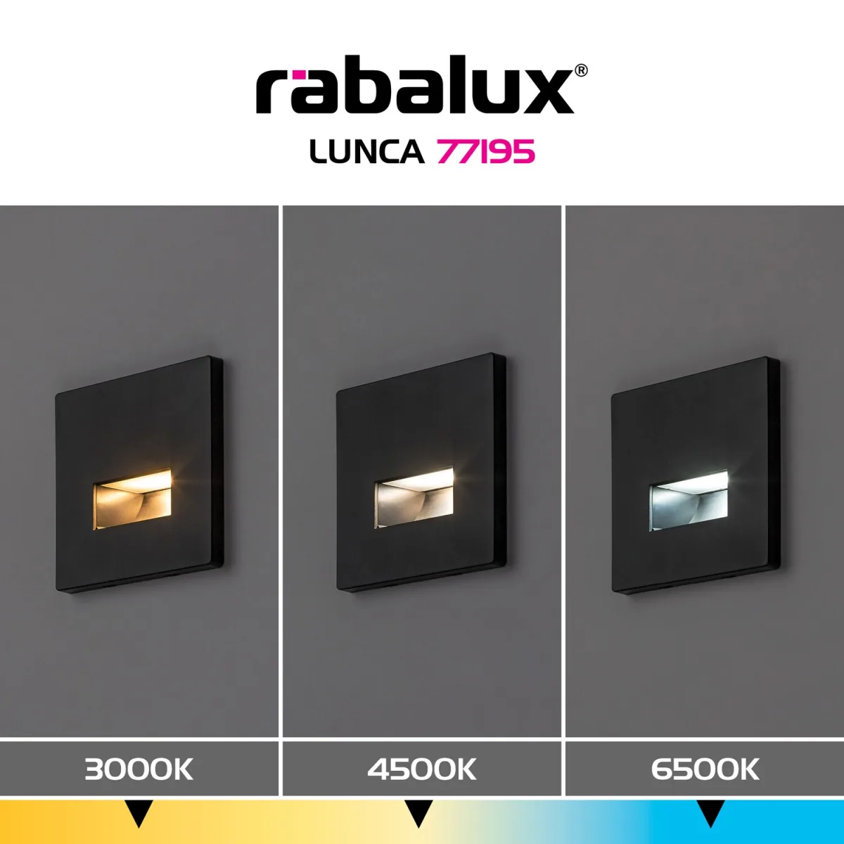 Lunca — slika 8