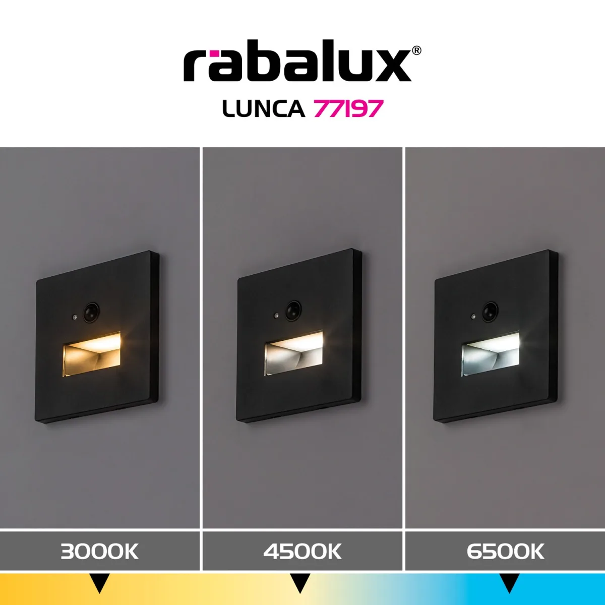 Lunca — slika 8