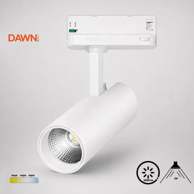 DAWN LED REFLEKTOR ŠINSKI EL-T21D030 30W CCT BELI TROSTEPENI
