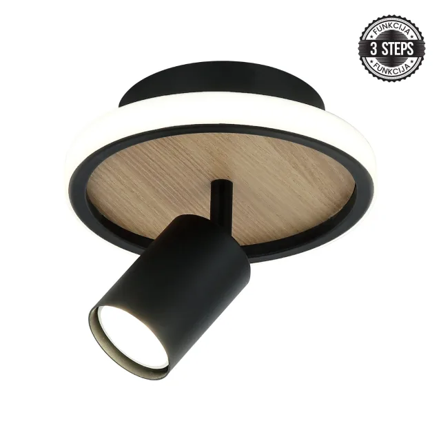 LED plafonska lampa FG150-1 BK+WD