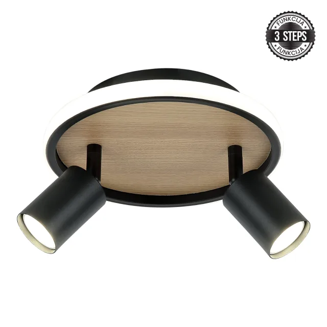 LED plafonska lampa FG150-2 BK+WD