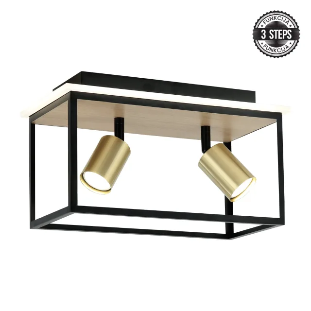 LED plafonska lampa FG152-2 BK+WD
