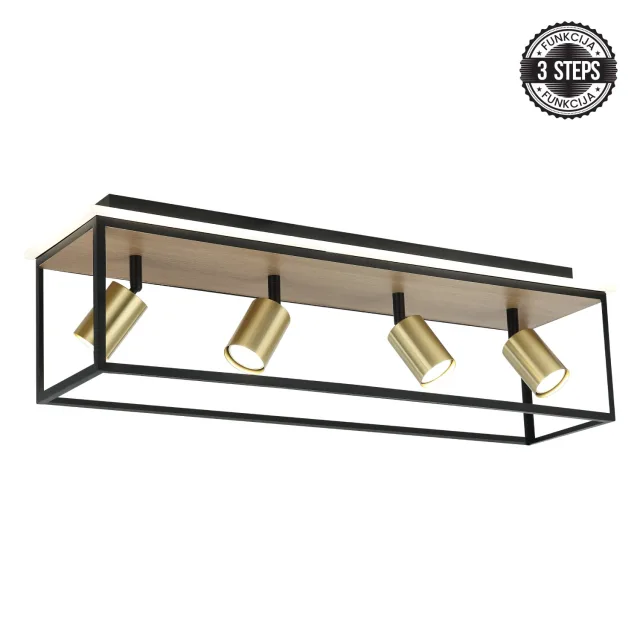 LED plafonska lampa FG152-4 BK+WD