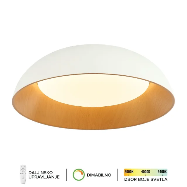 LED plafonska lampa FK2005-66C WH
